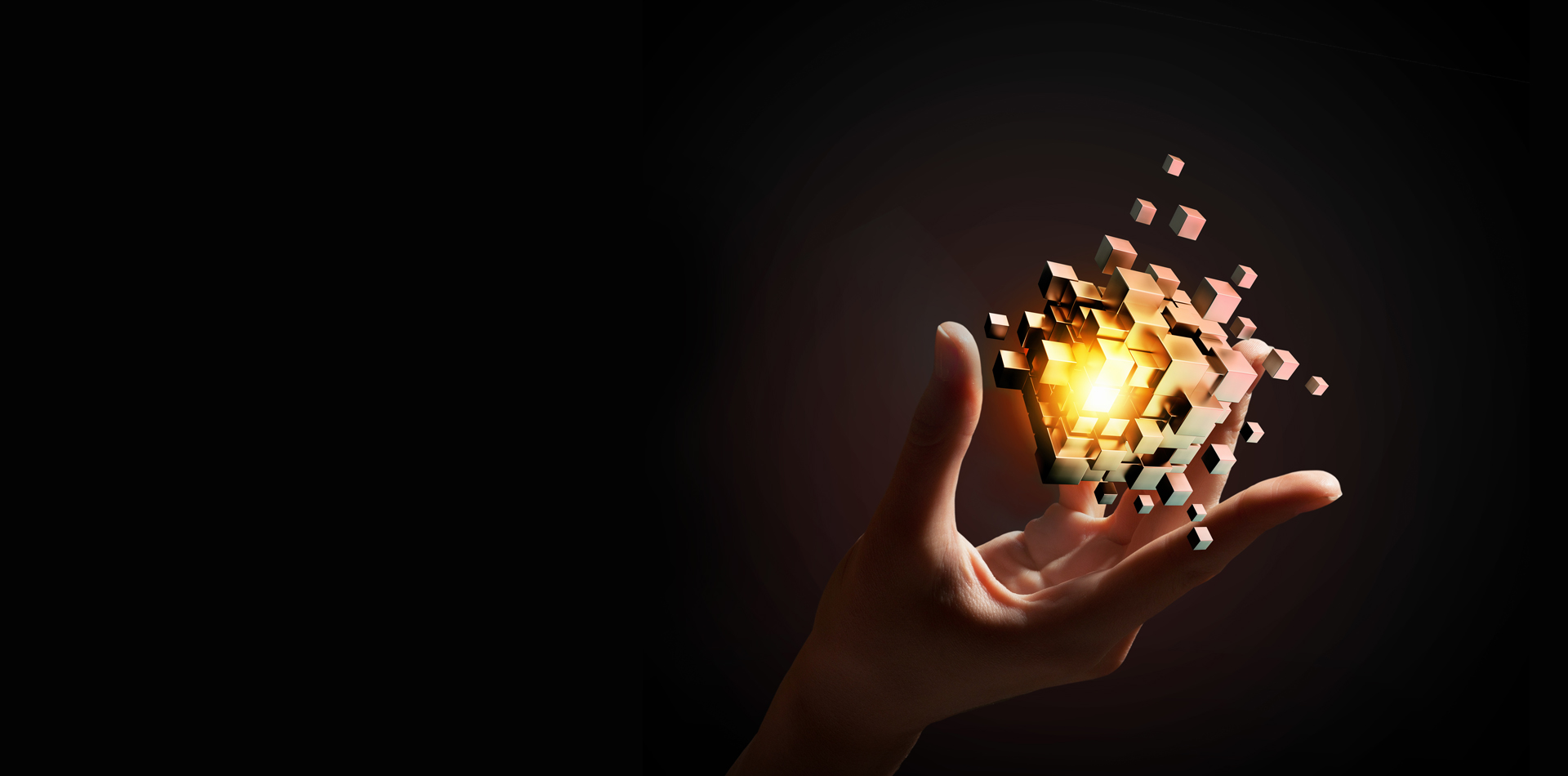 我們的服務 Our Service