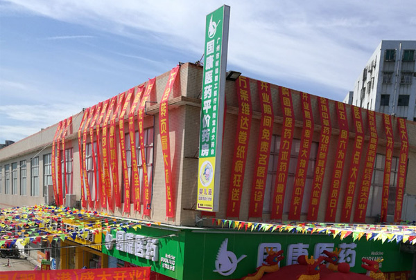 廣東國康醫(yī)藥有限公司